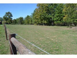 Property photo 37 - 80 +/- Acres Offered in 6 Tracts - Spectacular Farm & Home